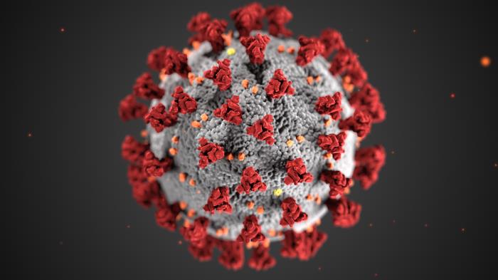 Illustration of ultrastructural morphology exhibited by coronaviruses