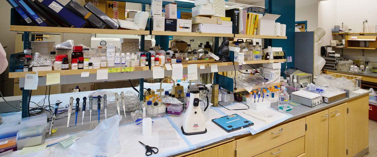 A lab at Boston University
