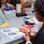 A BU student works on a model of a human heart.