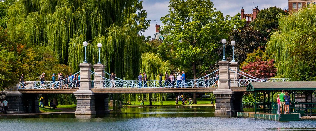 An image of Boston Common in the summer