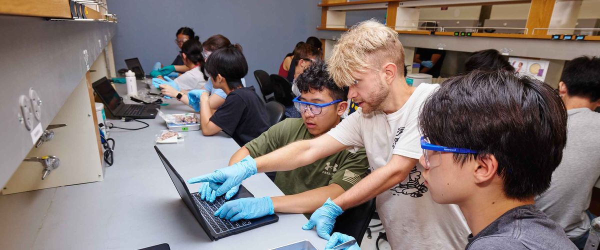 Boston University Summer Term students in a chemistry lab