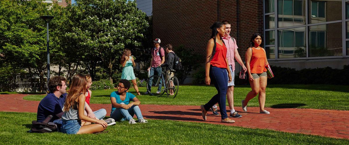 BU Summer Term students walking and socializing in an outdoor park