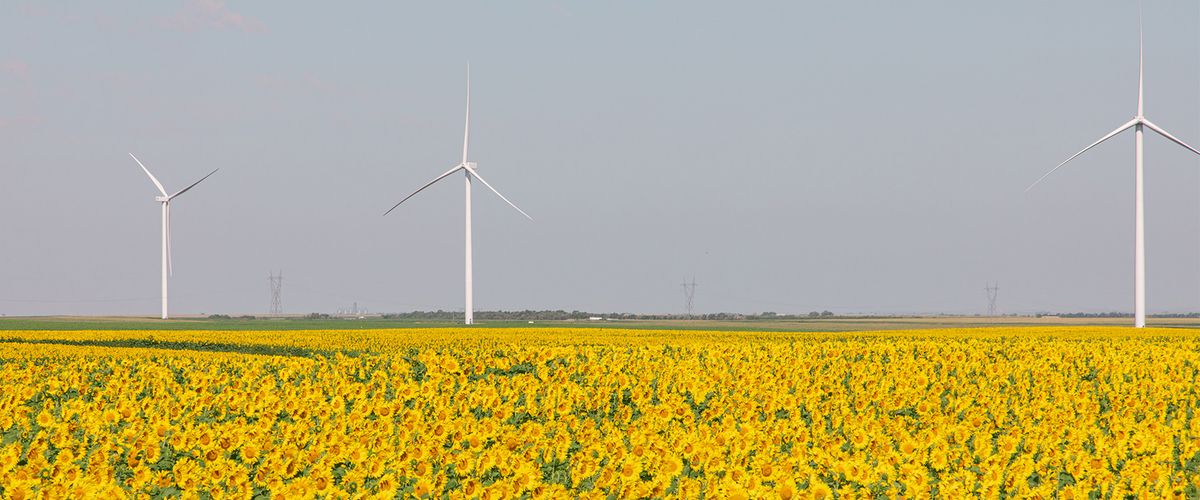 BU Wind