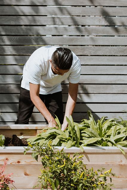 Food justice