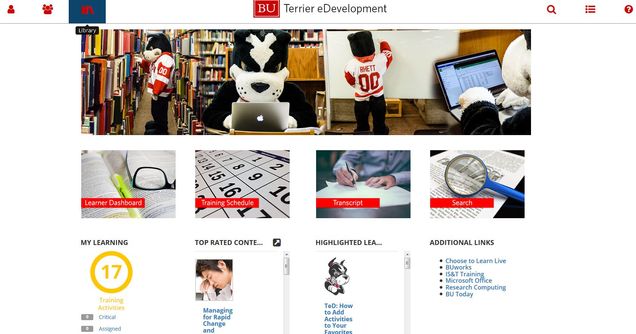 Terrier eDevelopment Homepage
