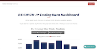 Covid-19 Testing Data Dashboard bar chart in blue with distorted view.