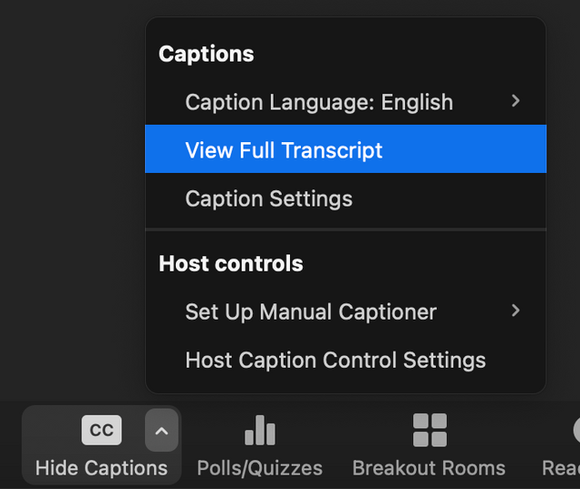 Screenshot of the captions menu with View Full Transcript highlighted.