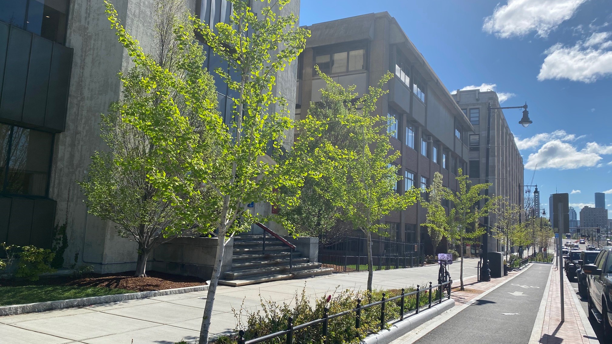 Image of Commonwealth Avenue sidewalk and streetfront facing east towards Boston, featuring the front facades of 881 and 881 Commonwealth Avenue buildings.
