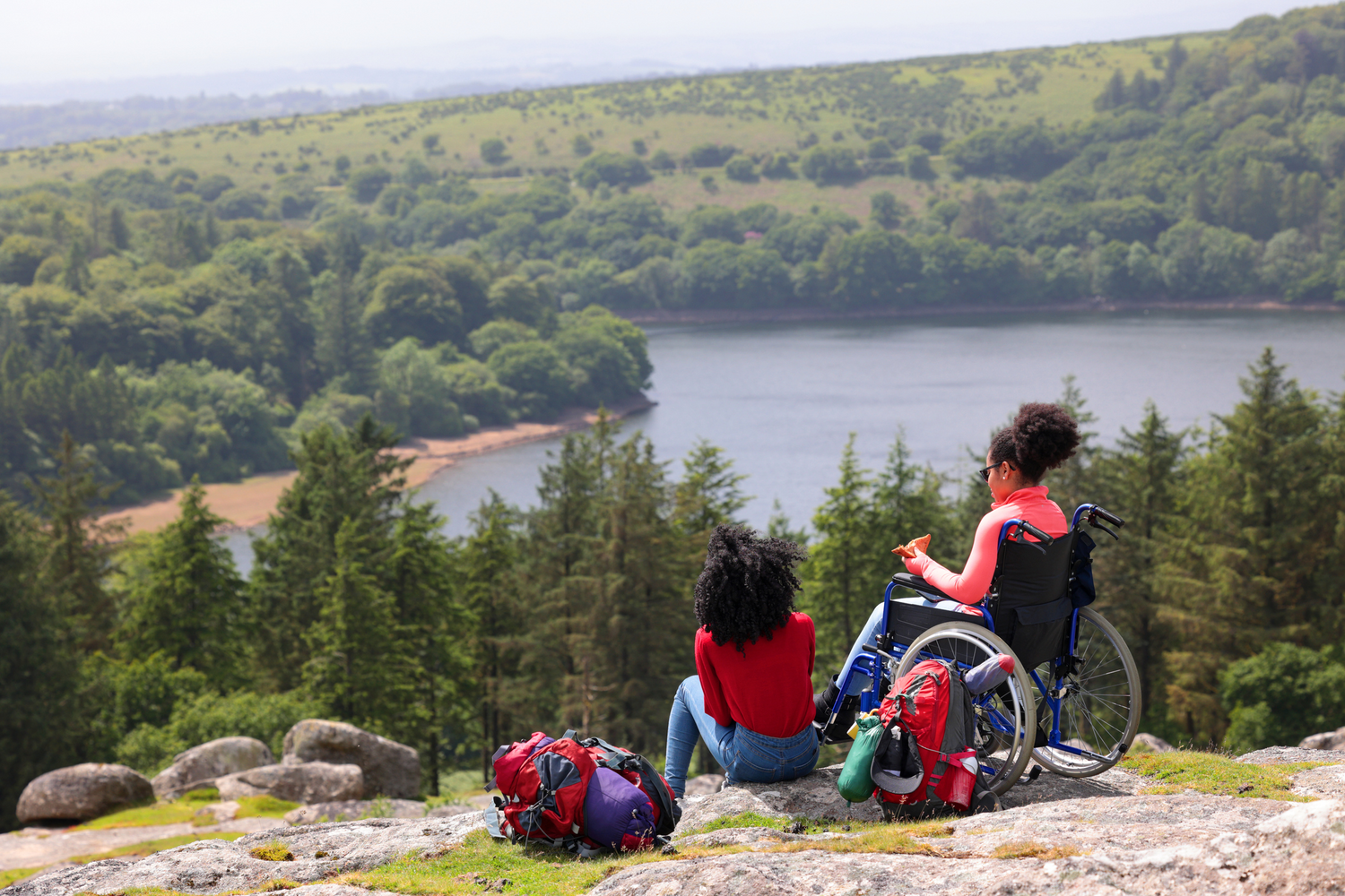 Two people one in a wheelchair and the other sitting on the ground overlooking a view in a national park